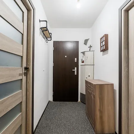 Apartment Swoboda Comfort By Bookinghost Poznan